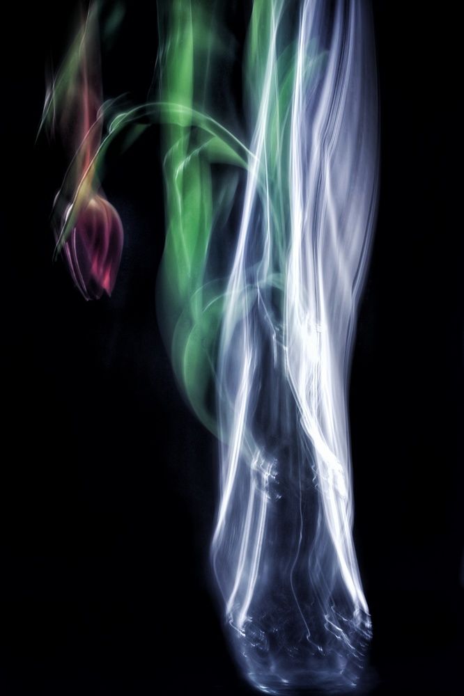 Photograph by Olga Asson