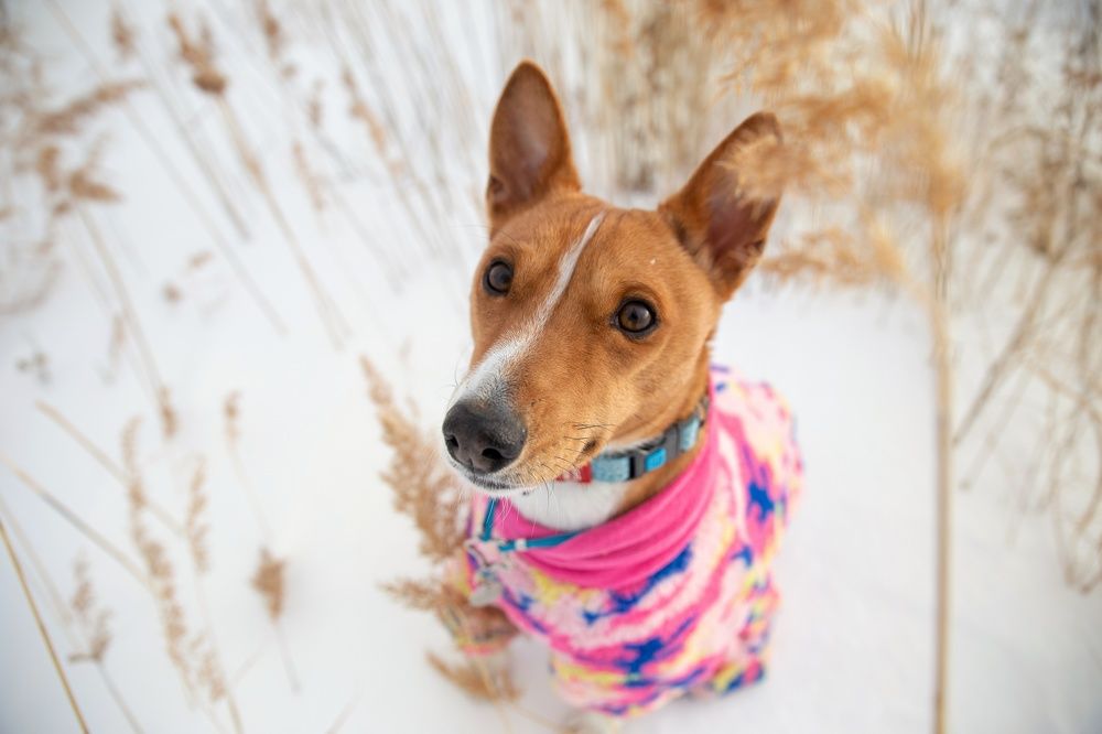 Photograph by Кристина Скрыпникова