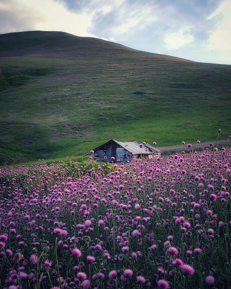 Photograph by amir shadpoor