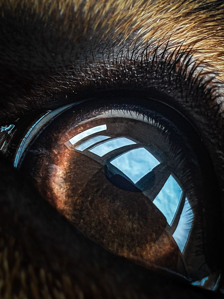 Photograph by Анна Воронина