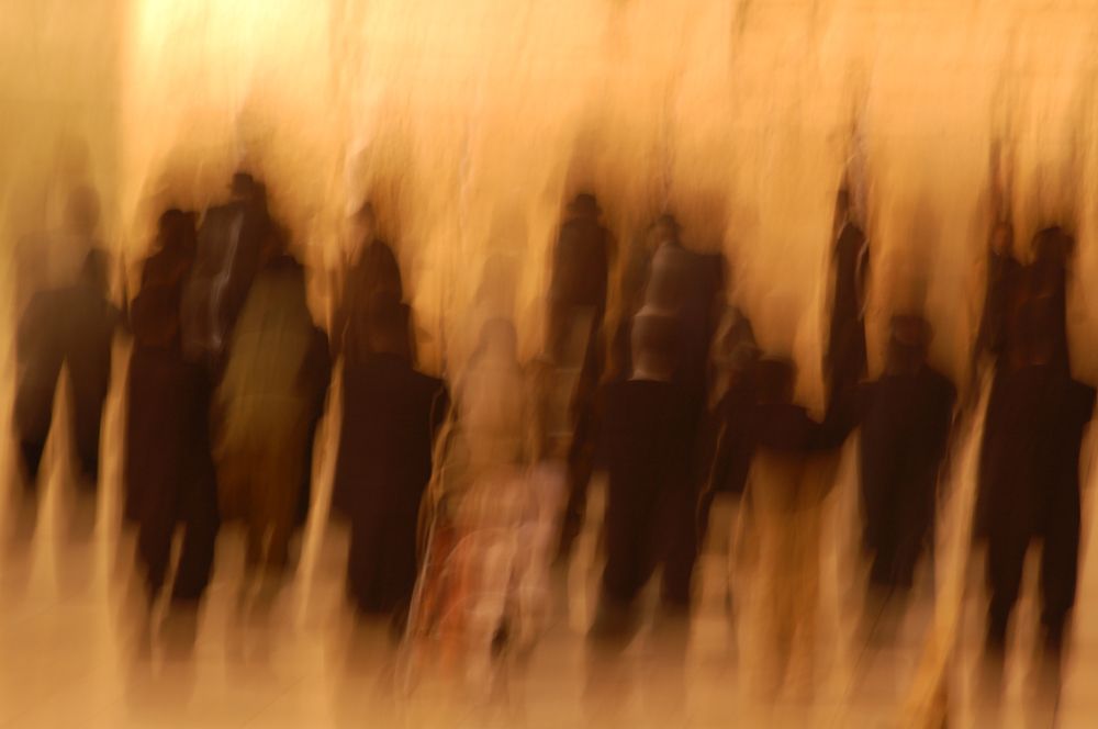 Фотография автора Ася Бабушкина