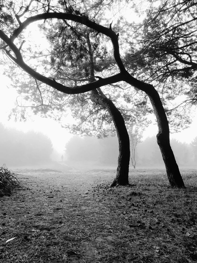 Photograph by Ирина Половцева