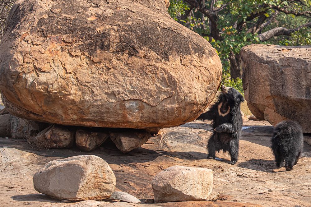 Photograph by LOKANATH MUDA