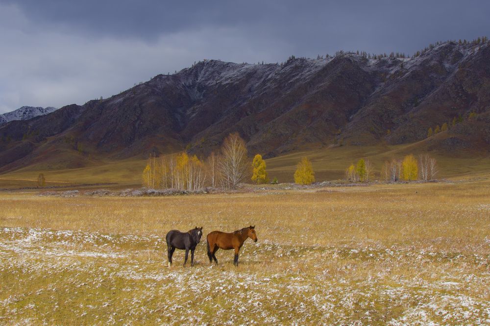 Фотография автора Вадим Качанов