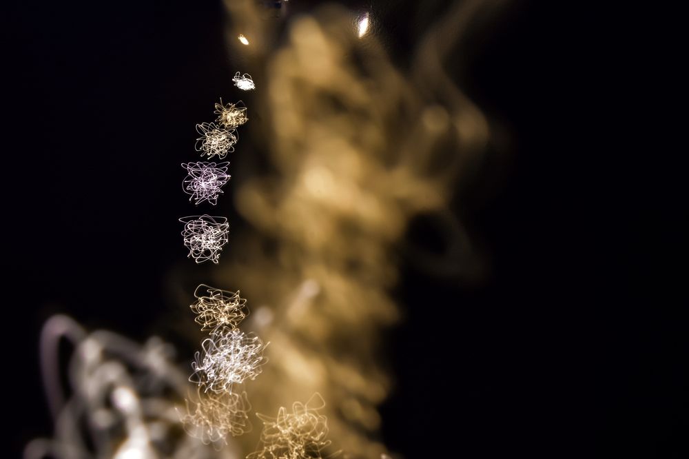 Фотография автора Bùi Nguyễn