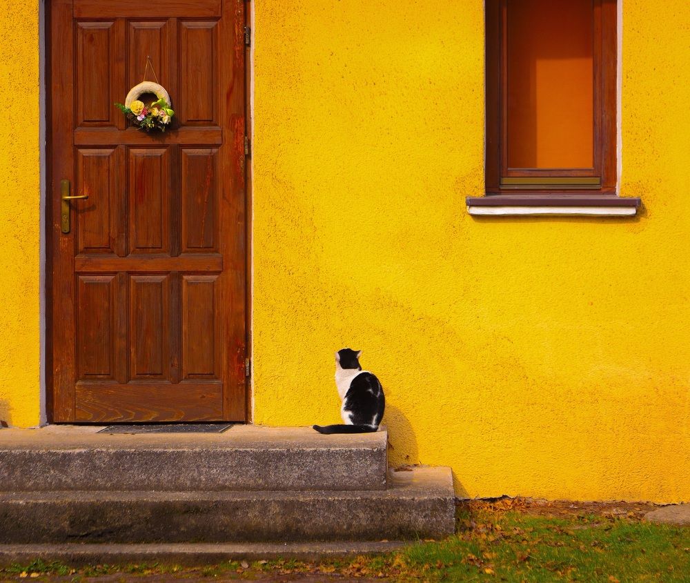 Photograph by Кристина Кузнецова