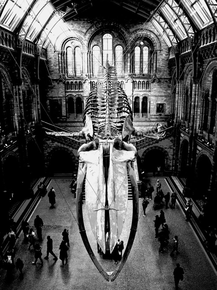 Photograph by Peter Pochyly