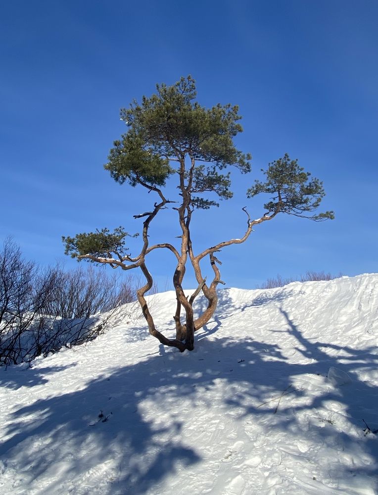 Зимний пейзаж на Белом море