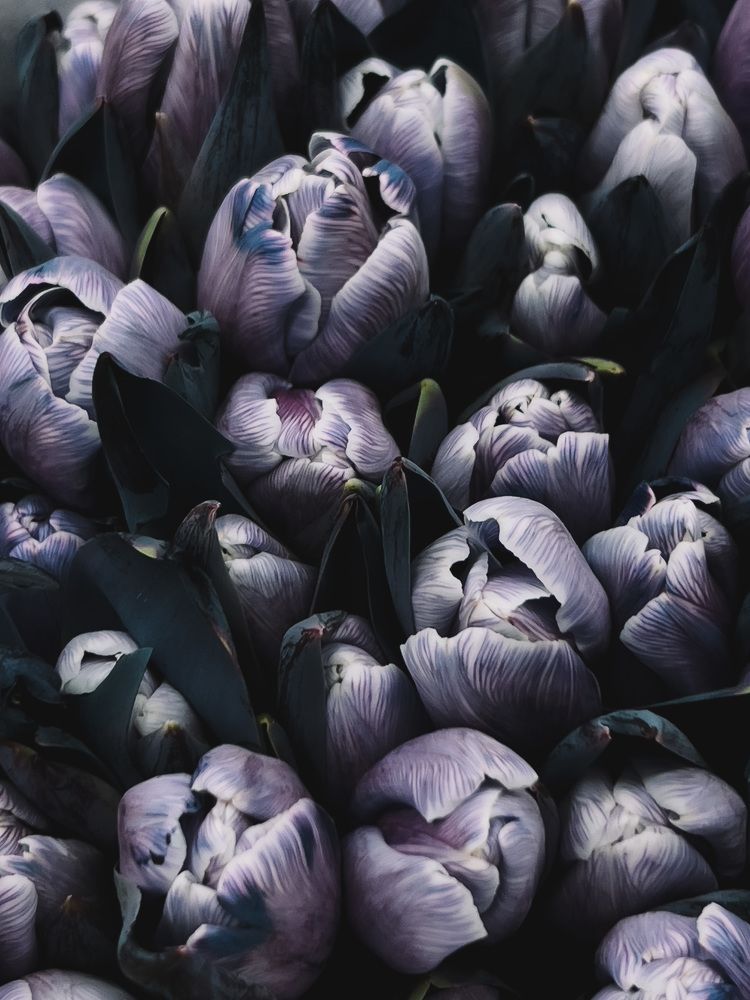 Photograph by Алиса Нежинская