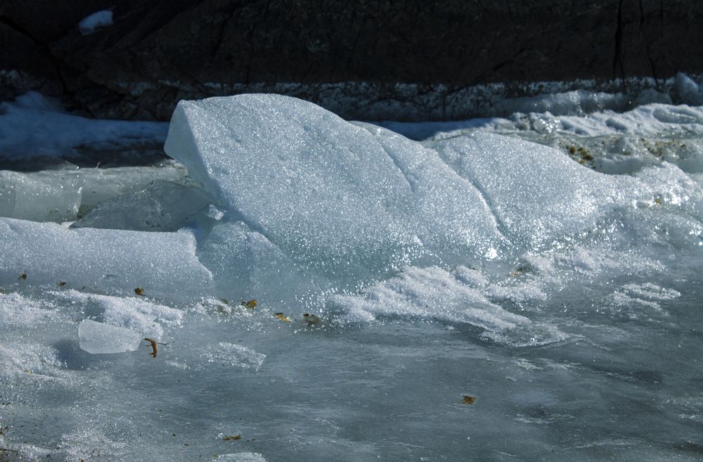 Photograph by Ирина Попел