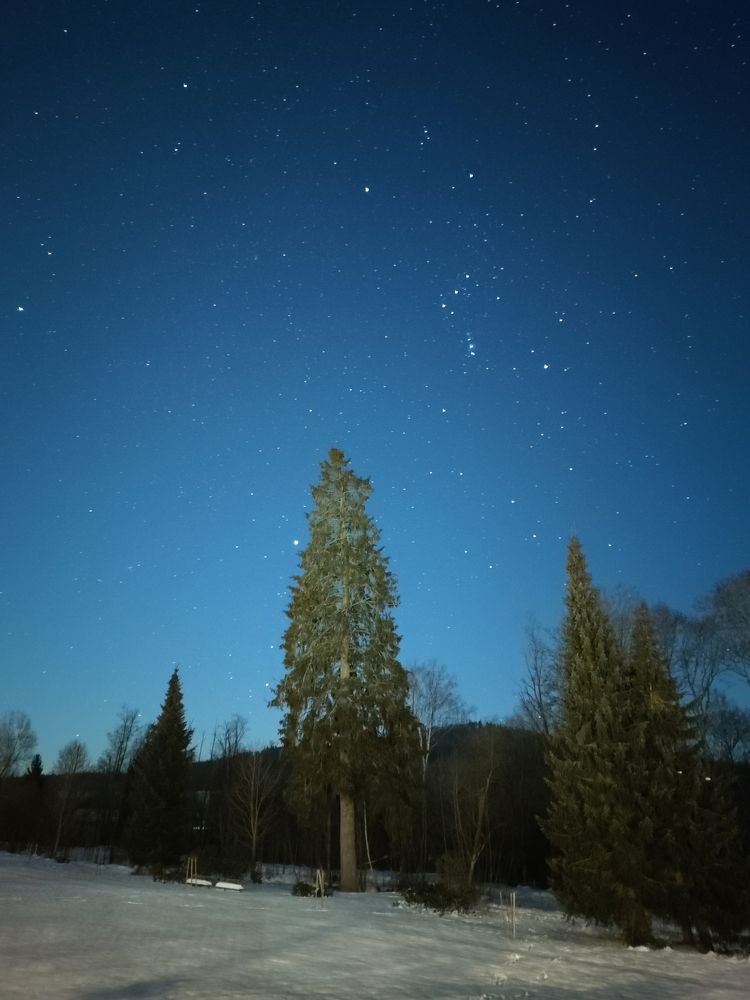 Photograph by Олег Марков