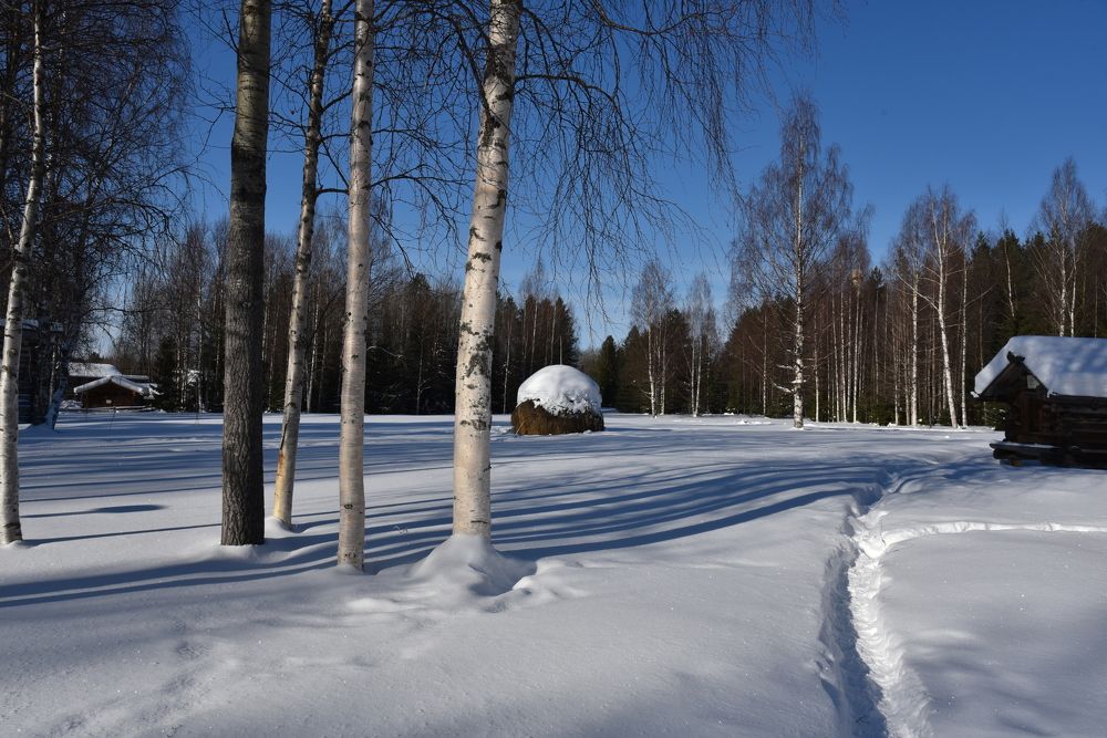 Малые Корелы. Март.