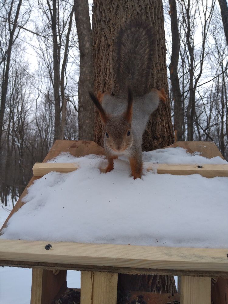 Photo #9012160