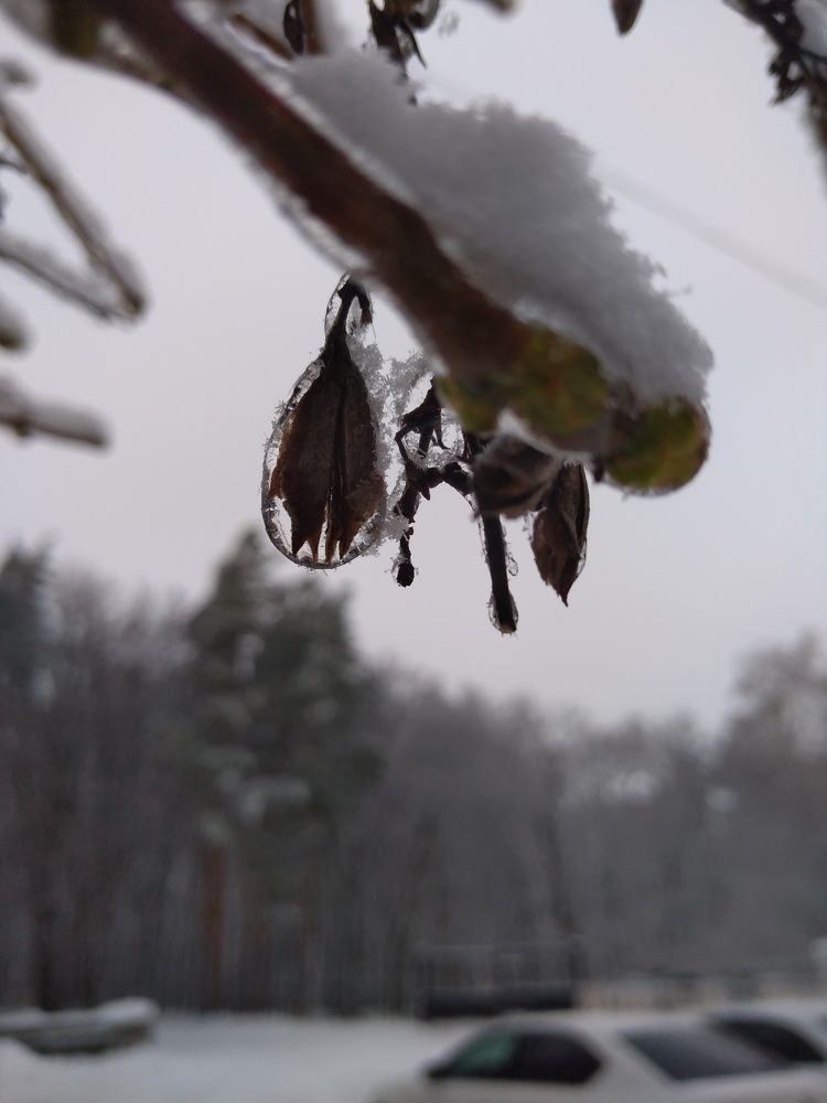 Photo #9012166