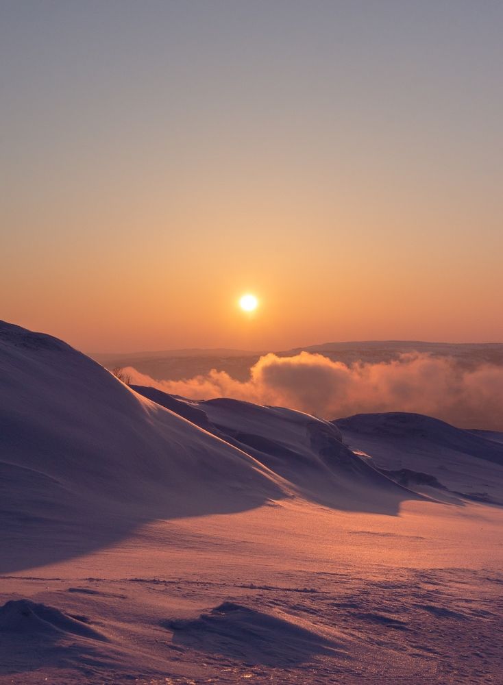 Фотография автора Егор Бушмакин