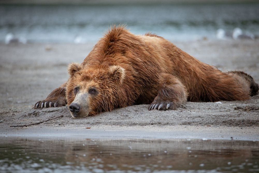 Photograph by Наталья Поспелова