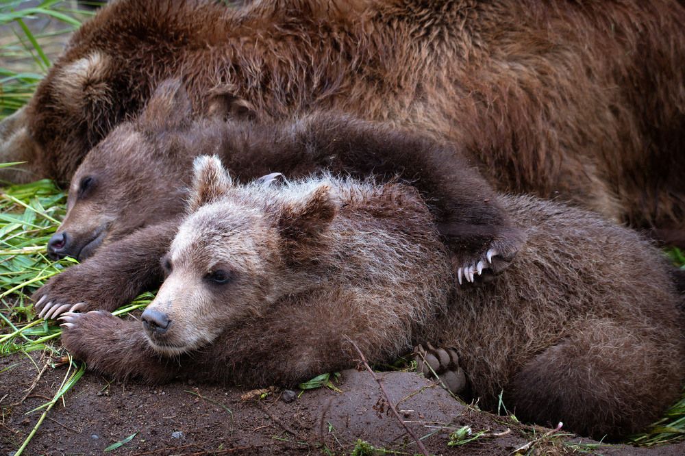 Photograph by Наталья Поспелова
