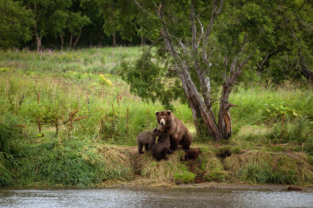 Photograph by Наталья Поспелова