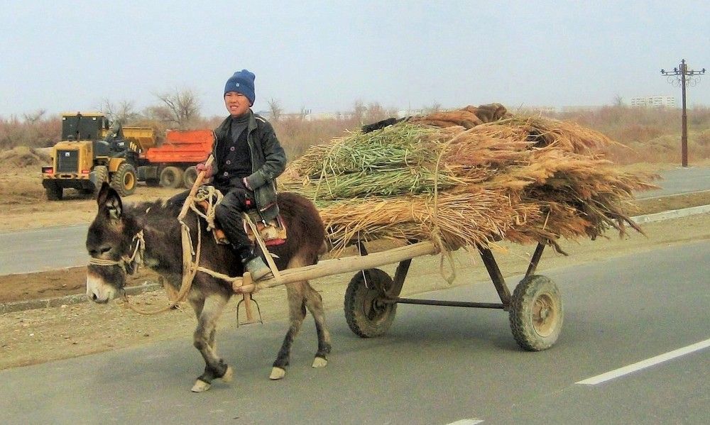 Тягловая сила