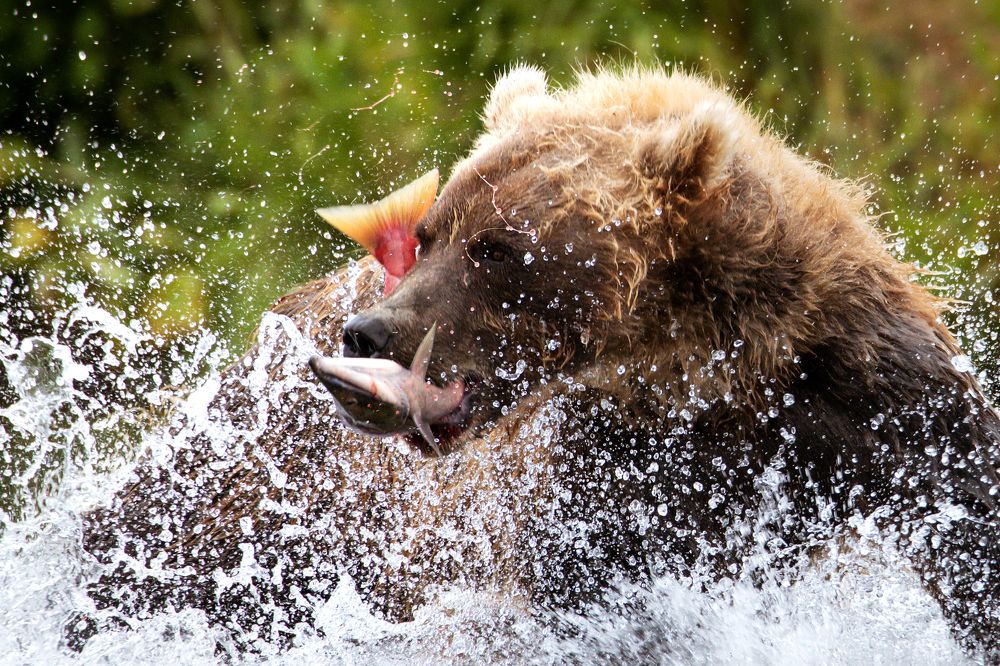 Photograph by Наталья Поспелова