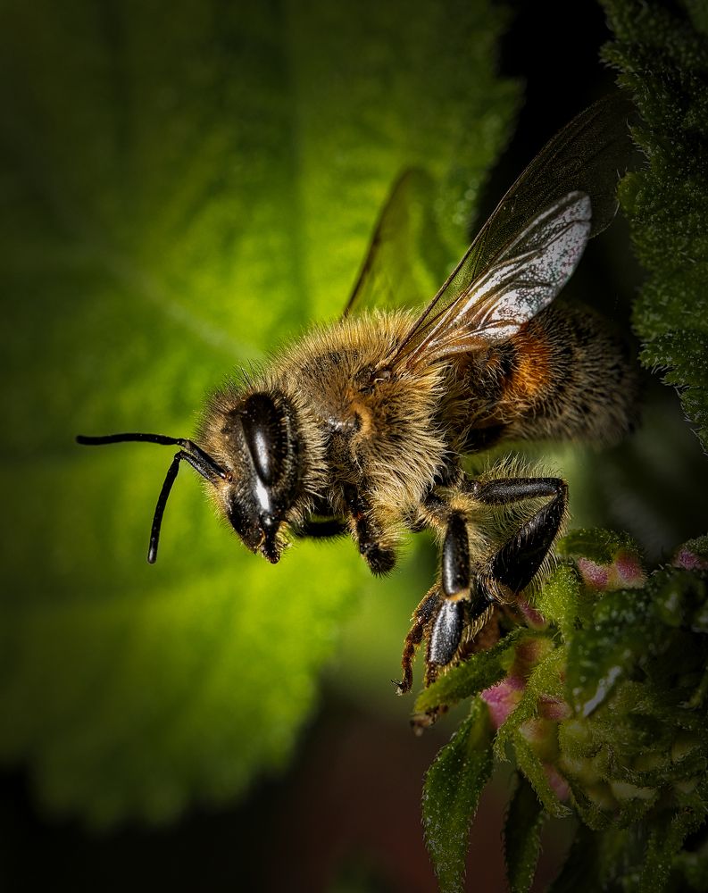 Photograph by רוסלן ברם
