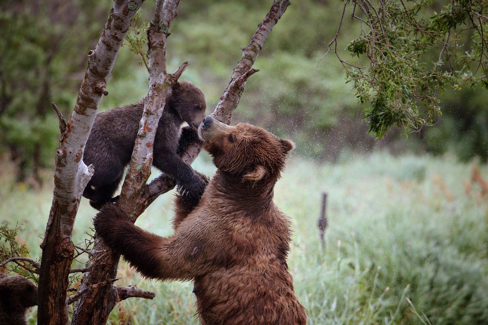 Photograph by Наталья Поспелова