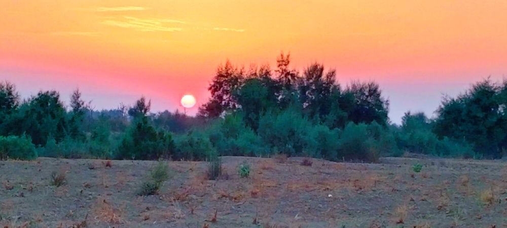 Photograph by Dost Ali