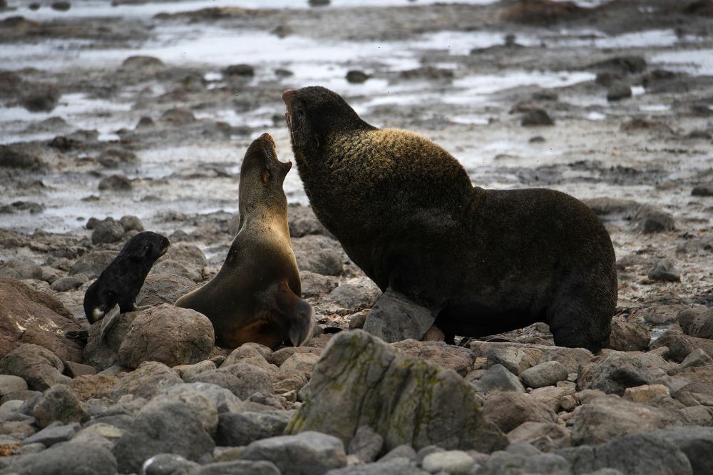 Photograph by Наталья Поспелова