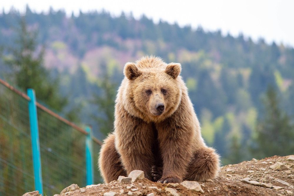 Photograph by Мари Полищук