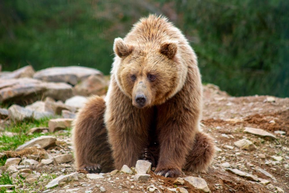 Photograph by Мари Полищук