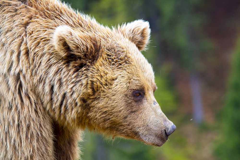 Photograph by Мари Полищук