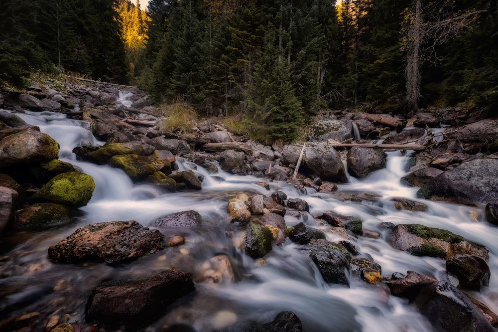 Photograph by Юрий Головченко