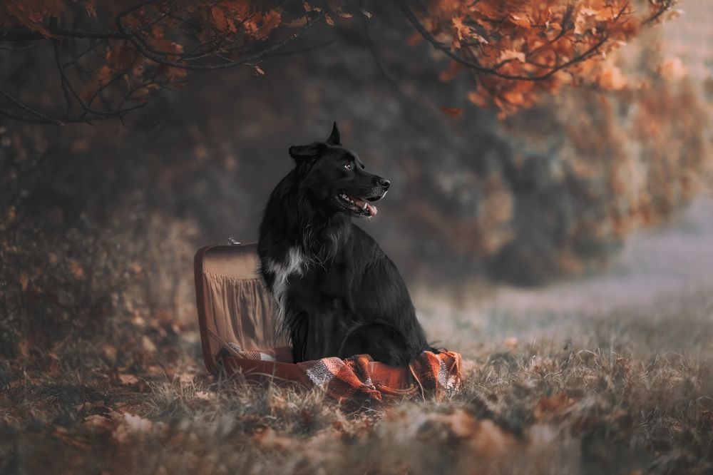 Photograph by Sara Pinotti