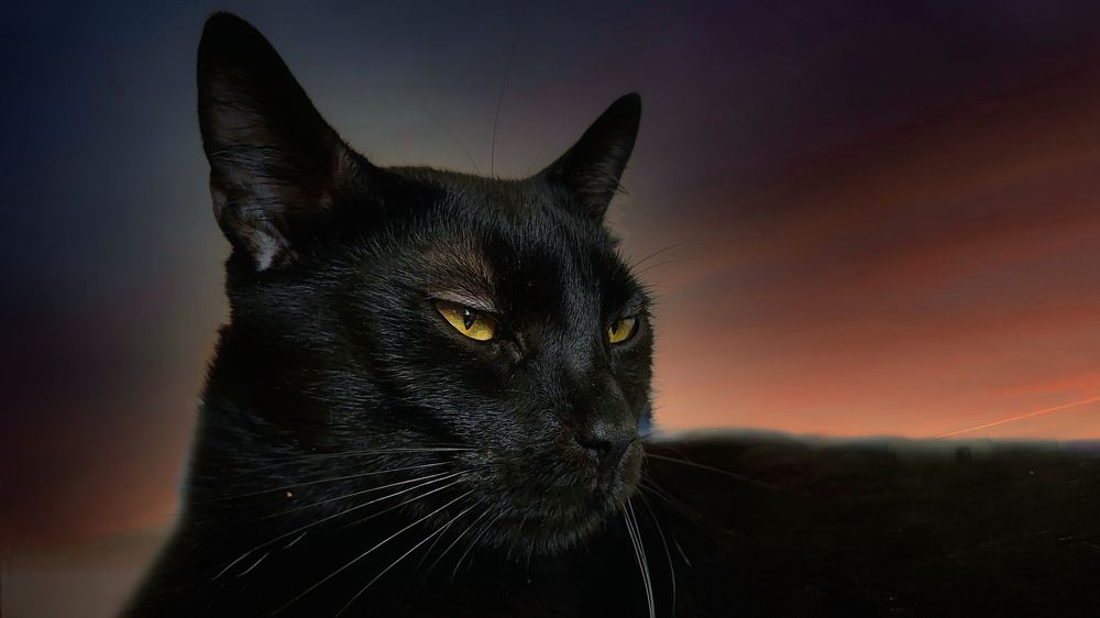 Photograph by Sandor Zoltan Gal