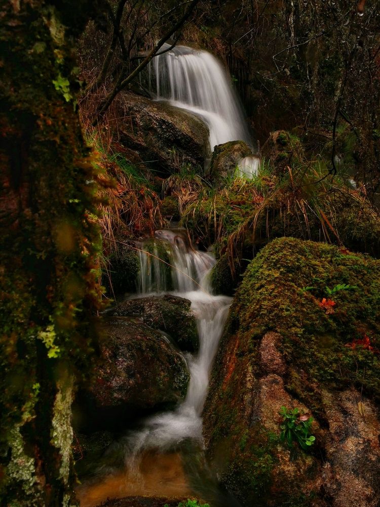 Photograph by Jose Antonio Novelle Cao