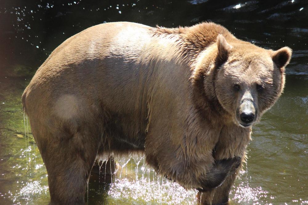 Photograph by Ирина Шугаева