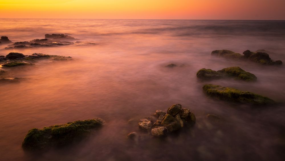 Photograph by Alexandru Pavel