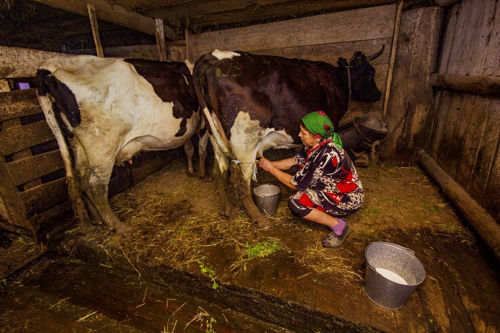 Photograph by Илья Чирков