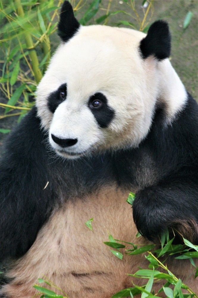 Photograph by Anja Kroes, Dutch