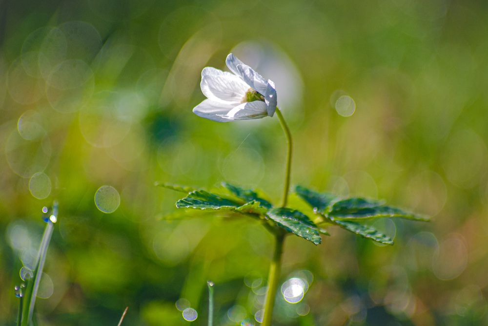 Photograph by Матвей Вершинин