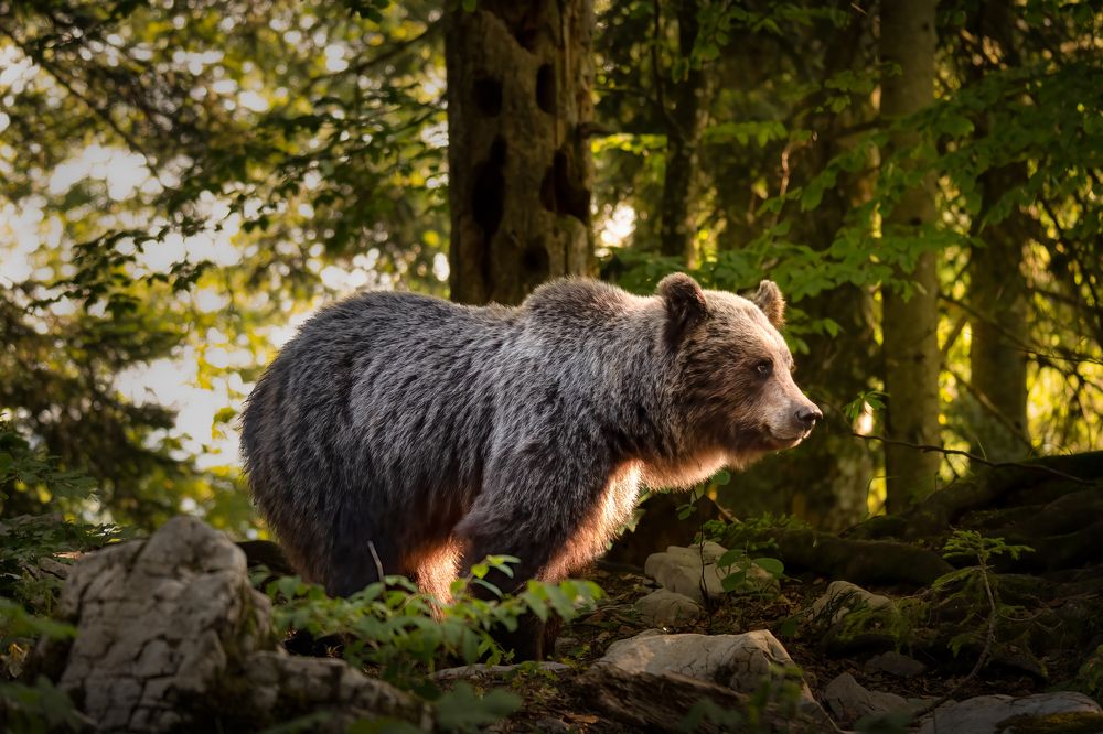 Photograph by Olena Pfister