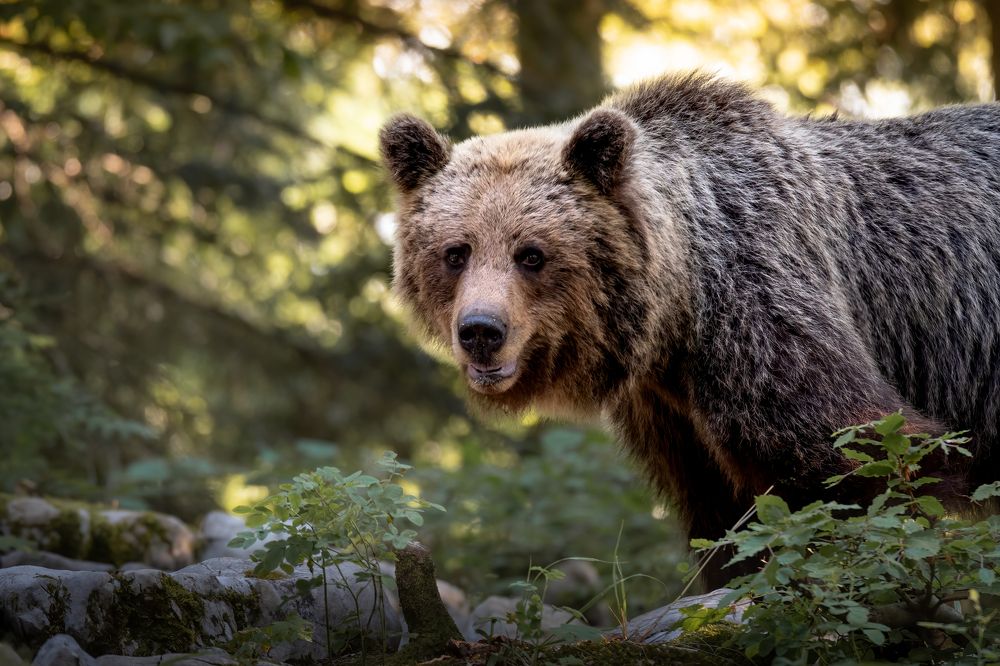 Photograph by Olena Pfister