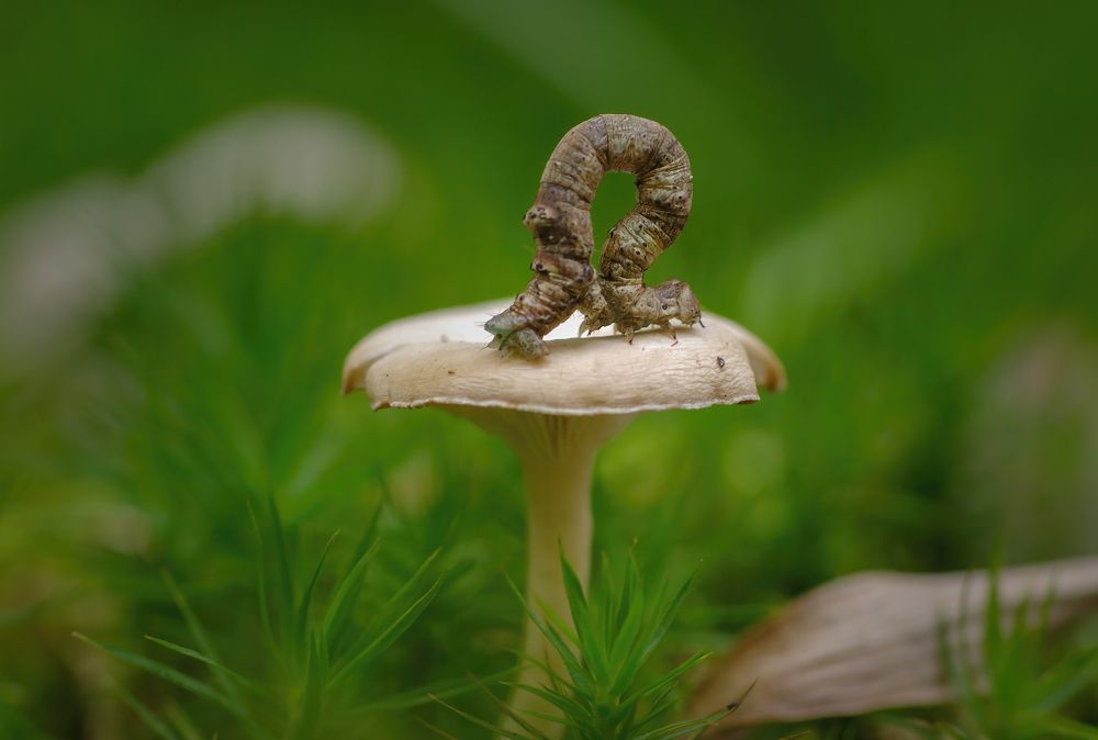 Photograph by Андрей Бурда