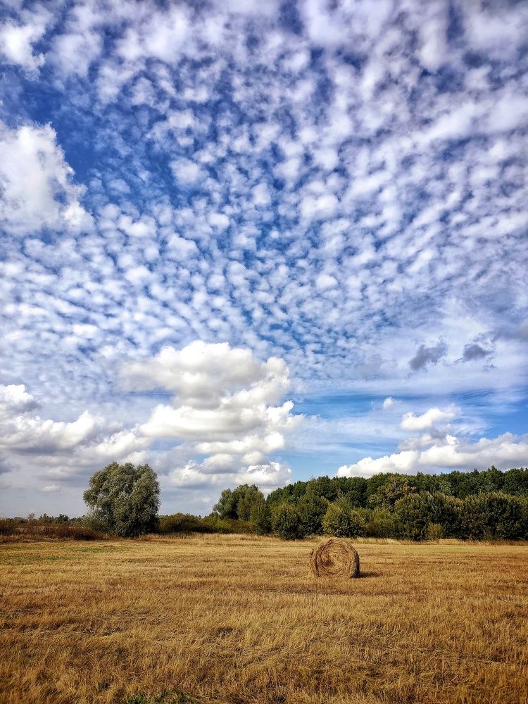 Photograph by Елена Симакина