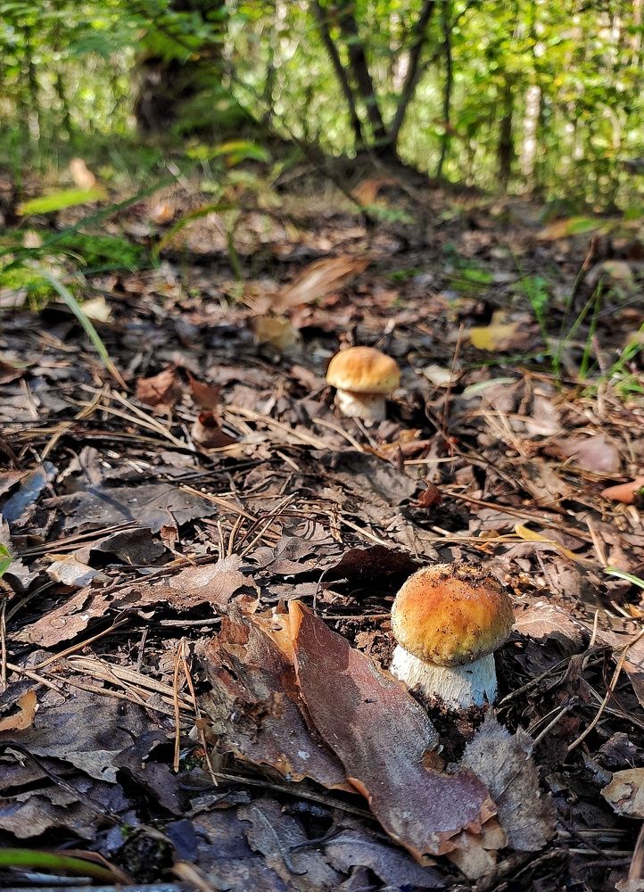 Photograph by Елена Симакина