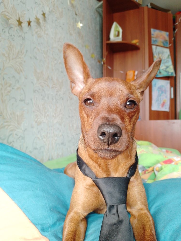 Юный призедент