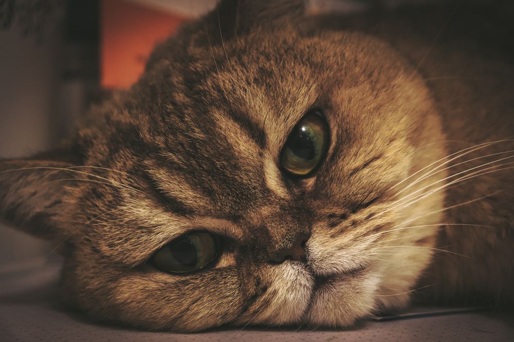 Photograph by Дмитрий Фадеев