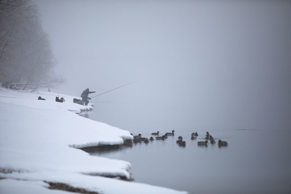 Photograph by Сергей Захаров
