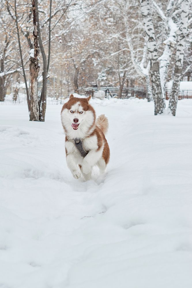Photograph by Татьяна Лоскутова