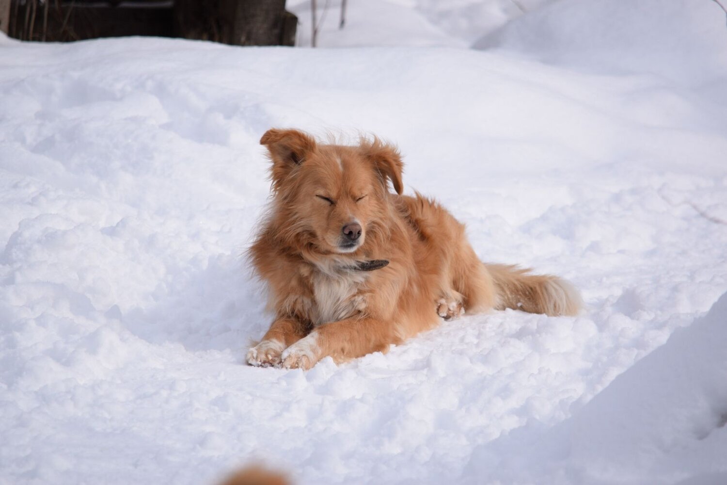Photo #9013012